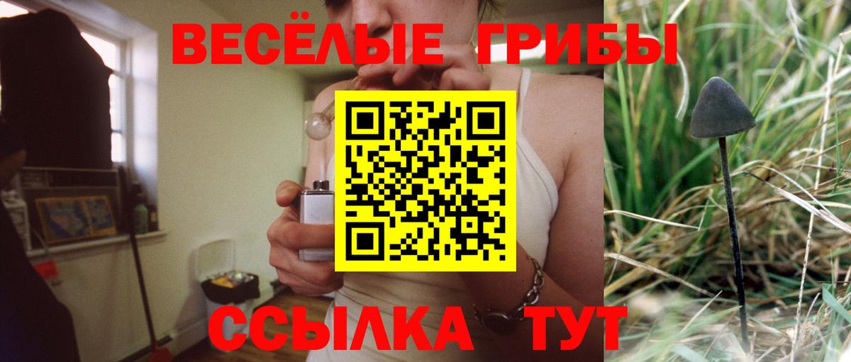 Псилоцибиновые грибы ЛСД Россия